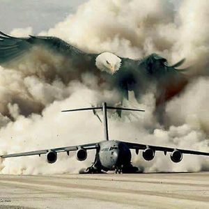 Meet your Posher, Antonio